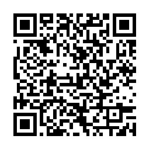 我已经很多年没有见到过像你这种既得罪天界神国二维码生成