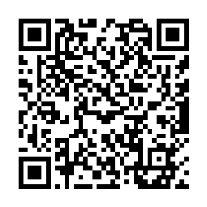 我已经能够猜出这汤药肯定是用极其上等的药材做成的二维码生成