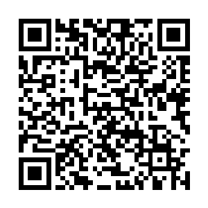 我希望你能早日取代他成为这四九城的地下指挥官二维码生成