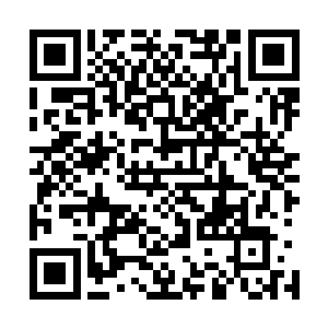 我建议你们建委立即启动城市建设规划方案的重新设计布局二维码生成