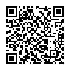 我很清楚抢劫组织的财产会面临什么样可怕的结局二维码生成