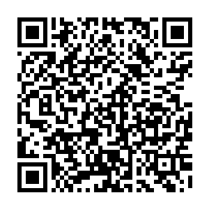 我很遗憾……本来你是我很看好的孩子……可惜我先与密斯特拉有了交易二维码生成
