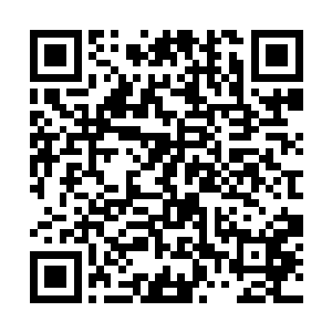 我得想想办法通过电话委婉地将这边的情况告诉林烽二维码生成