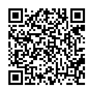 我心中一阵失落转头朝躺在床上安静沉睡的柳清浅看了过去二维码生成