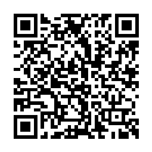 我心中已经隐隐的猜到乐家小少爷可能出事情了二维码生成