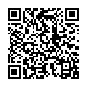 我心中竟然产生了一个错觉眼前的儿子就如是一个太古神王一般二维码生成