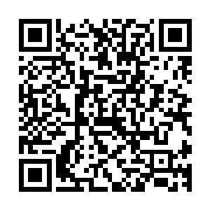 我必须要在这里把人族与魔族的事都解决完了才能回落云大陆二维码生成