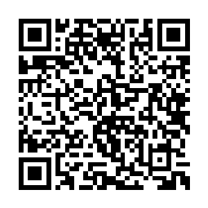 我想他一定是有什么办法对抗这上古灵兽龙蟒吧二维码生成