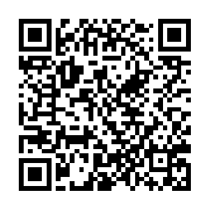 我想他们一直守护的圣物就是我乾坤戒里的风潇雕像二维码生成