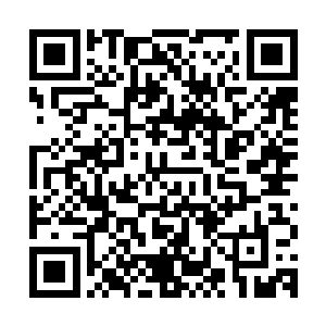 我想他们没有动手原因肯定是在策划一个对我们致命的打击报复二维码生成