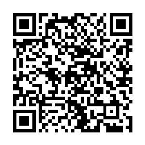 我想他是想用血族王子的血来取出前任血皇体内的精华二维码生成