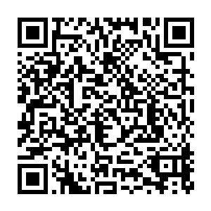 我想在看到这一条天皇金枪鱼后我这一生再也没有什么可以遗憾的了二维码生成
