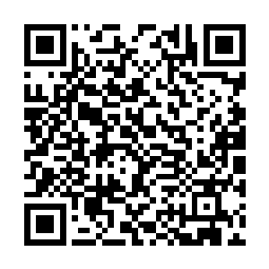 我想我们可以以他能医治好罗杰殿下的身体为条件二维码生成
