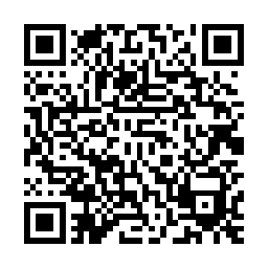 我想眼前光头男人身边的几个应该都是那酒吧老板手下的人吧二维码生成