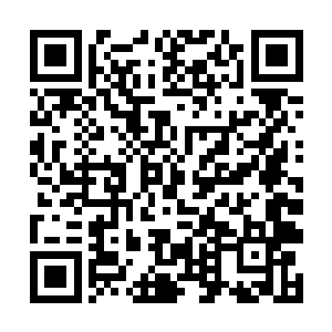 我想这种绝世美女任那个男人看到肯定都走不动步子二维码生成