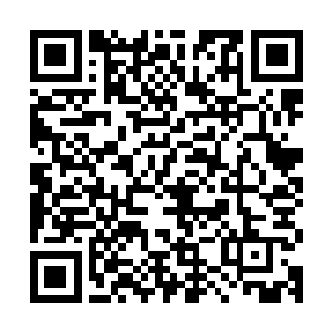 我想那杀马特男生肯定不会为了那个黄毛王凯和刘晓雪对着干的二维码生成