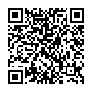 我感觉他的身体和之前的那个风奇泽的身体根本不是同一个身体二维码生成