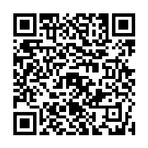 我打算去善药堂组织一些高手去接应兰晨宗逃出来的人二维码生成