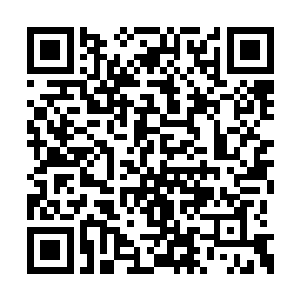 我担心那帮绑匪万一到时候见不得钱的话会翻脸二维码生成