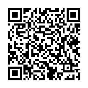 我无法想像一只兔狲会通过一种什么样的方式闭关修行二维码生成