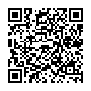 我明知道蒋晨在外面跟那么多的女人有勾搭可是我骗她二维码生成