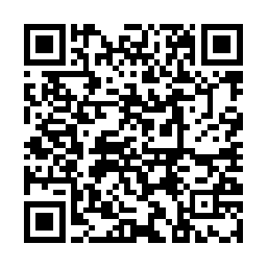 我是在离开归墟轮回星域后的第20年遇到这个人的二维码生成