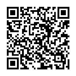 我最初确实是想利用一个荒淫无度的皇子来搅浑一江水二维码生成
