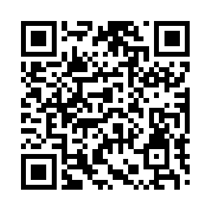 我朦朦胧胧的回想起那张清冷秀致的面孔二维码生成