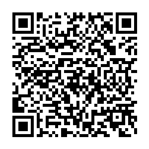 我来日本之前也只是听澹台璃和奶奶给我脑补过笼统日本鬼文化知识二维码生成