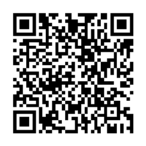 我根本无法相信在一家酒楼里居然还养着活生生的拉蒂迈鱼二维码生成
