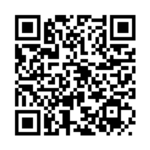 我正看着胖妞一把把的朝里面扔东西二维码生成