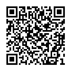 我沉沉的听着心脏在胸腔里一下一下重重的跳动二维码生成