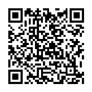 我没有想到风奇泽这样子孤独的人居然还有师兄二维码生成