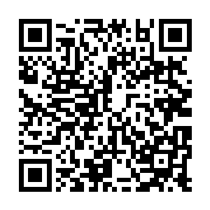 我没理由拿自己的名誉做这种双方都不讨好的事情二维码生成