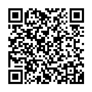 我洞虚派还会赠予你们一大批资源协助你们昆山剑宗重建宗门二维码生成