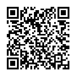 我浑身上下的伤痕都填满了黑色如晶体一般的能量二维码生成