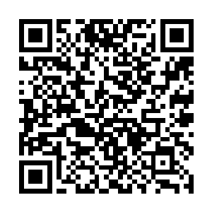 我犯不着为了其他人拐弯抹角找理由坏了客栈的规矩二维码生成