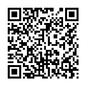 我的师门长辈就会在第一时间封锁整个宝藏的区域二维码生成