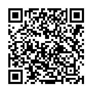 我的往期任务数据已经在上次强制关机中统统被抹去了二维码生成
