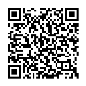 我的战力应该能够真的达到圣域巅峰四重天层次二维码生成