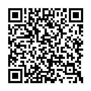 我的灵魂之目却可以隐隐约约感觉到其中的生命二维码生成