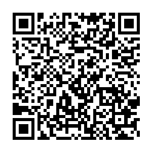 我的爸爸妈妈也可以来参加家长会……我宁愿我的学习成绩不这么好二维码生成