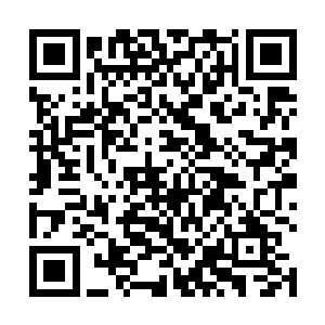 我的生活依旧在钱多多的恶搞下整日处于水深火热之中二维码生成