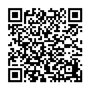 我的脑子里一直都不住地浮现着那个噩梦里的画面二维码生成