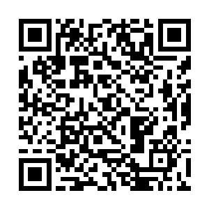 我的这一身看病的本事就是被那老教授硬教给我我的二维码生成
