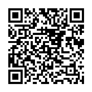 我的那个世界关于生命之树的消息已经十分稀少了二维码生成