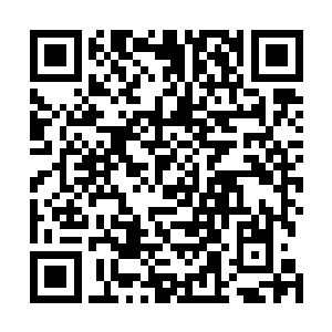 我相信大家也很想看一下这枚芯片连接的量子电脑真身吧二维码生成