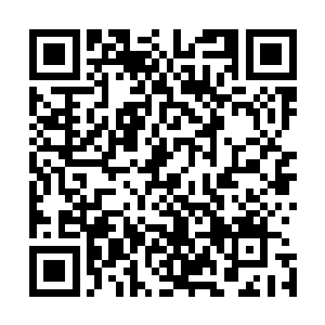 我相信她还不会愚蠢到将咱们白羽门的资料送给其他的门派二维码生成