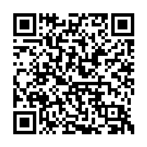 我看了一下乔尔布特研究小组之前的那两盆兰花二维码生成