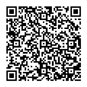 我看到房门口出现一容貌和汪逹朋有几分肖像的二十多岁男子再就是今天抢劫我的那个杀马特造型男孩二维码生成